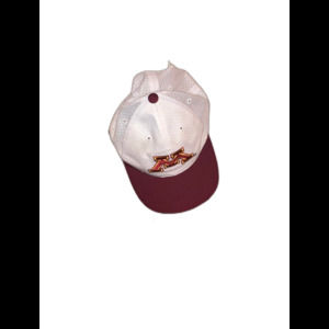 Vintage Top of the World Minnesota Gophers SnapBack Hat